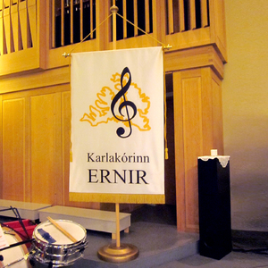 Fóstbræður 4 minkuð